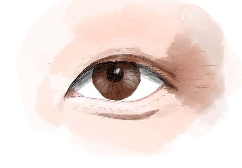 얇은 인아웃라인 눈 일러스트
